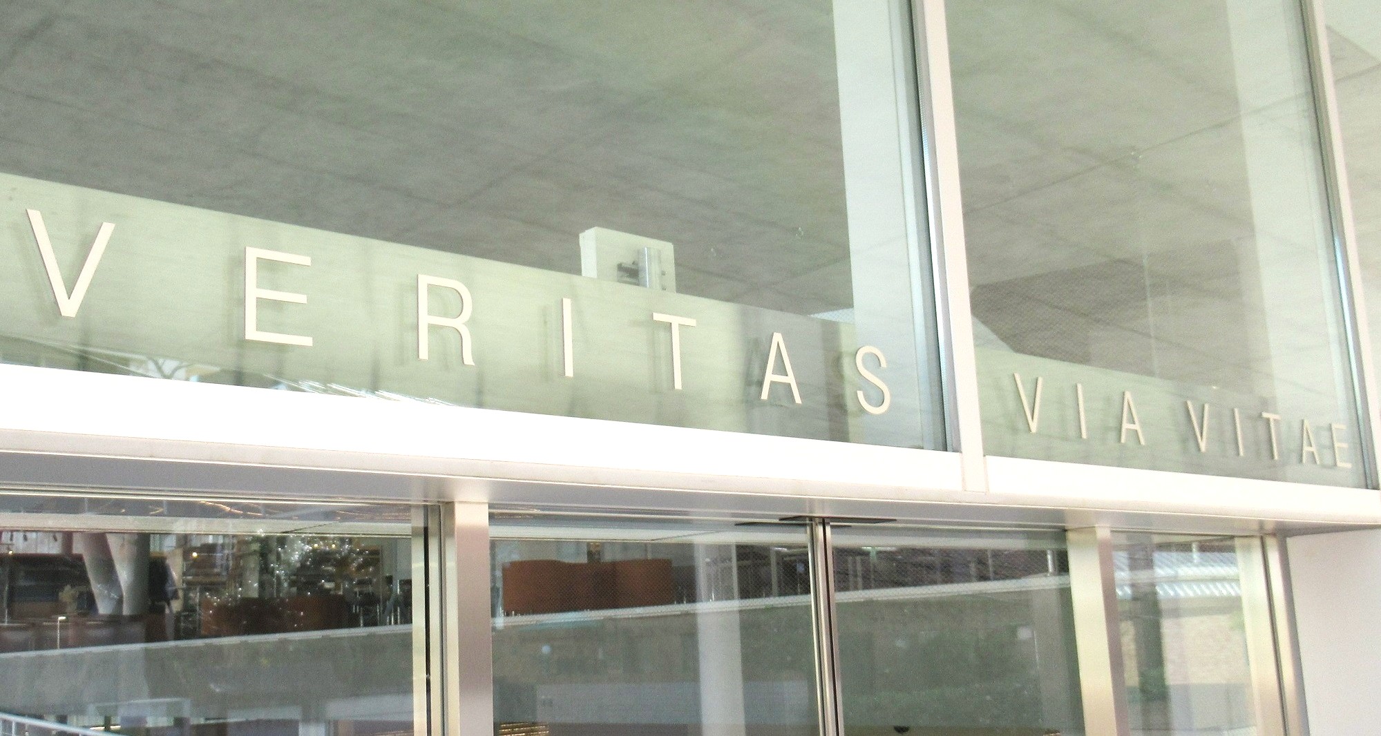 �}���ق̑�